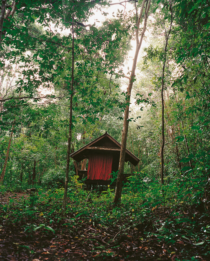 Kleine Andachts-Stätte im Wald beim Kloster Wat Suan Mokh