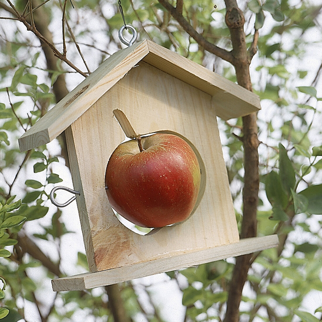 Futterhaus mit Apfel 