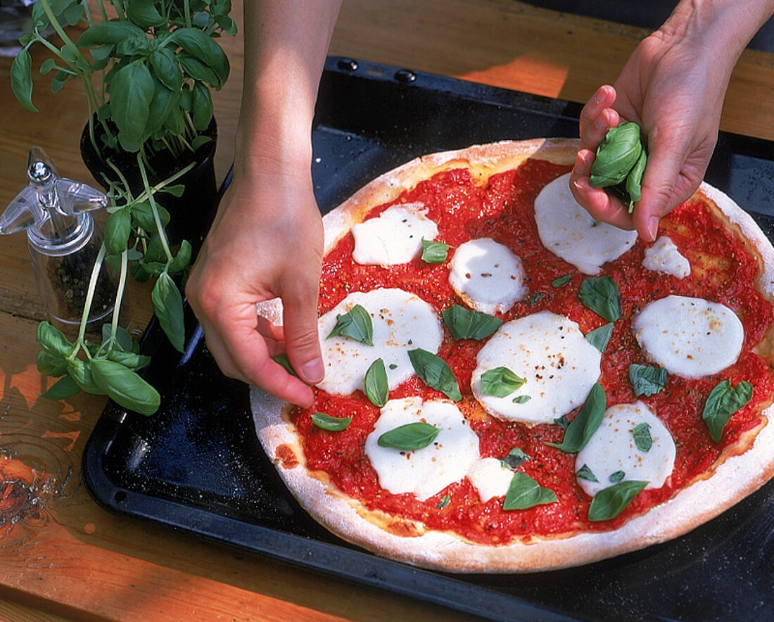 Italienische Pizza Margherita: Backen und Würzen, 6