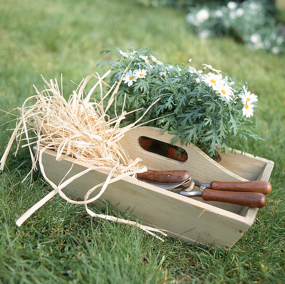 Gartenwerkzeuge und Blumen liegen im Holzkorb mit Griff