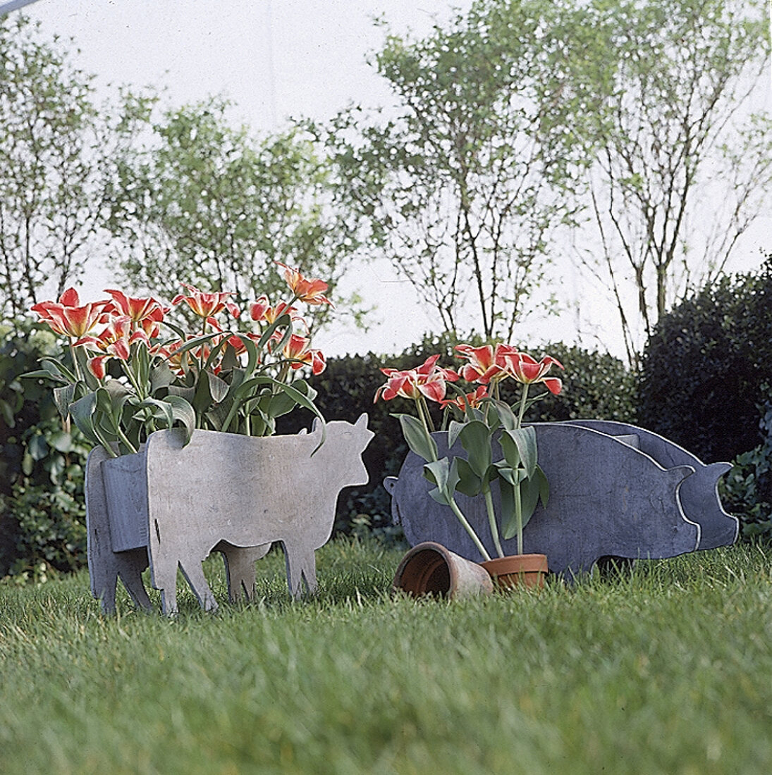 Kuh und Schwein aus Holz als Blumenkasten für den Garten