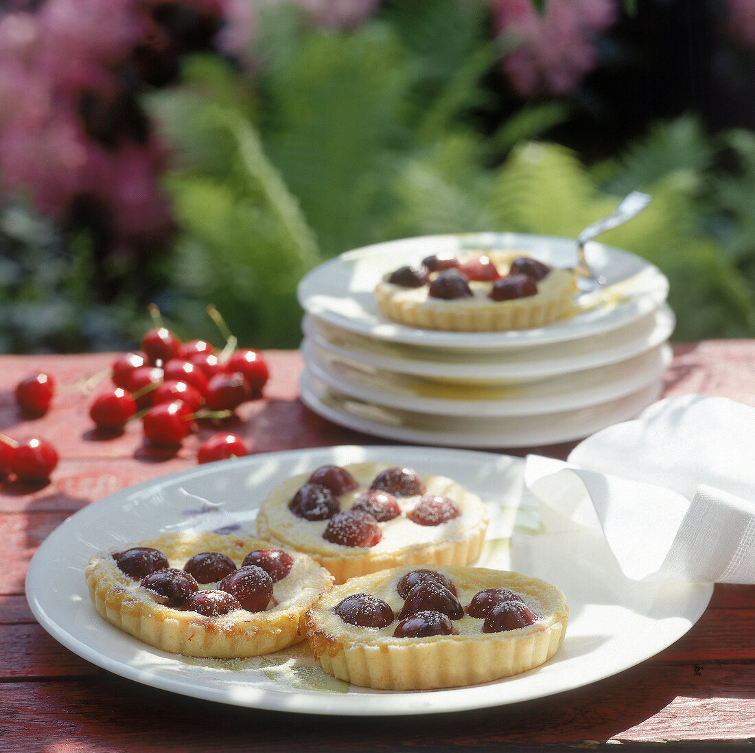 Törtchen mit Kirschen und Frischkäsecreme, Unschärfe