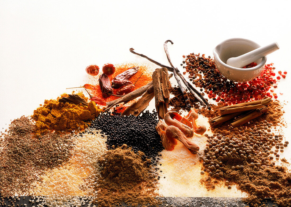 Various types of exotic spices on white background