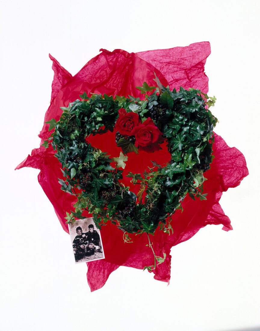 Heart shaped ivy on red tissue paper