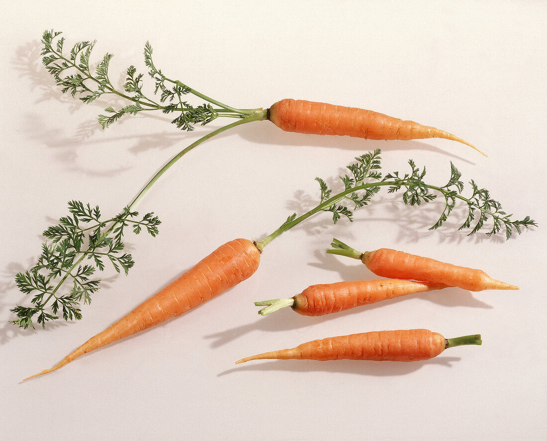 Fünf Karotten.Freisteller,zum Teil mit grün