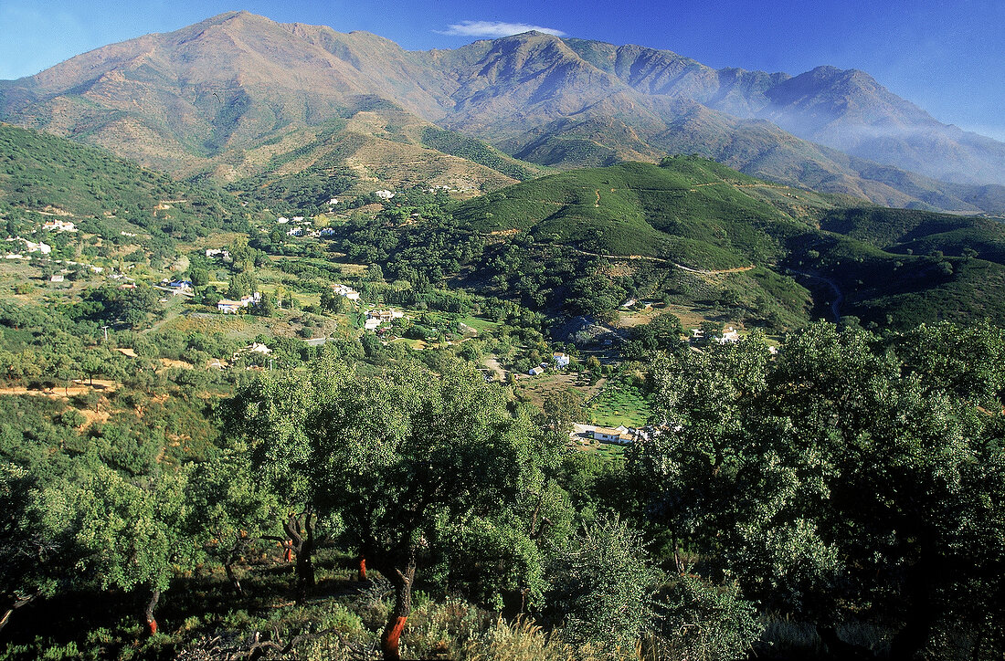 Talblick im Hinterland der Costa del Sol auf dem Weg nach Casares