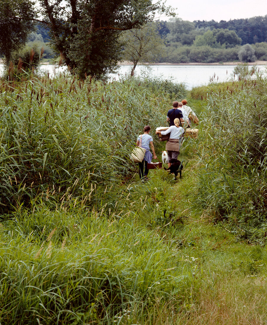 Group of young people walking through reeds towards lake for picnic