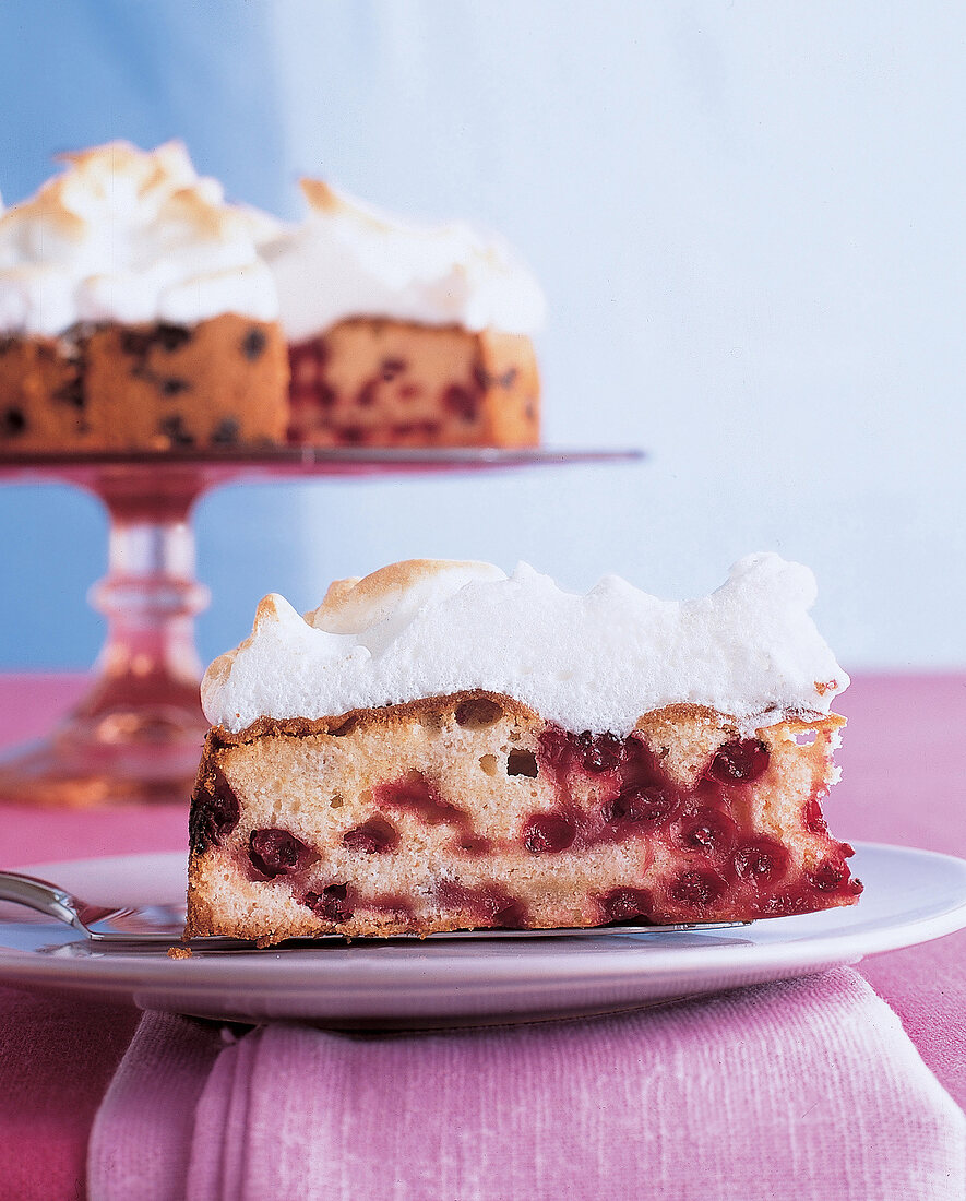 1 Stück Johannesbeerkuchen mit Baiserdecke auf Teller serviert