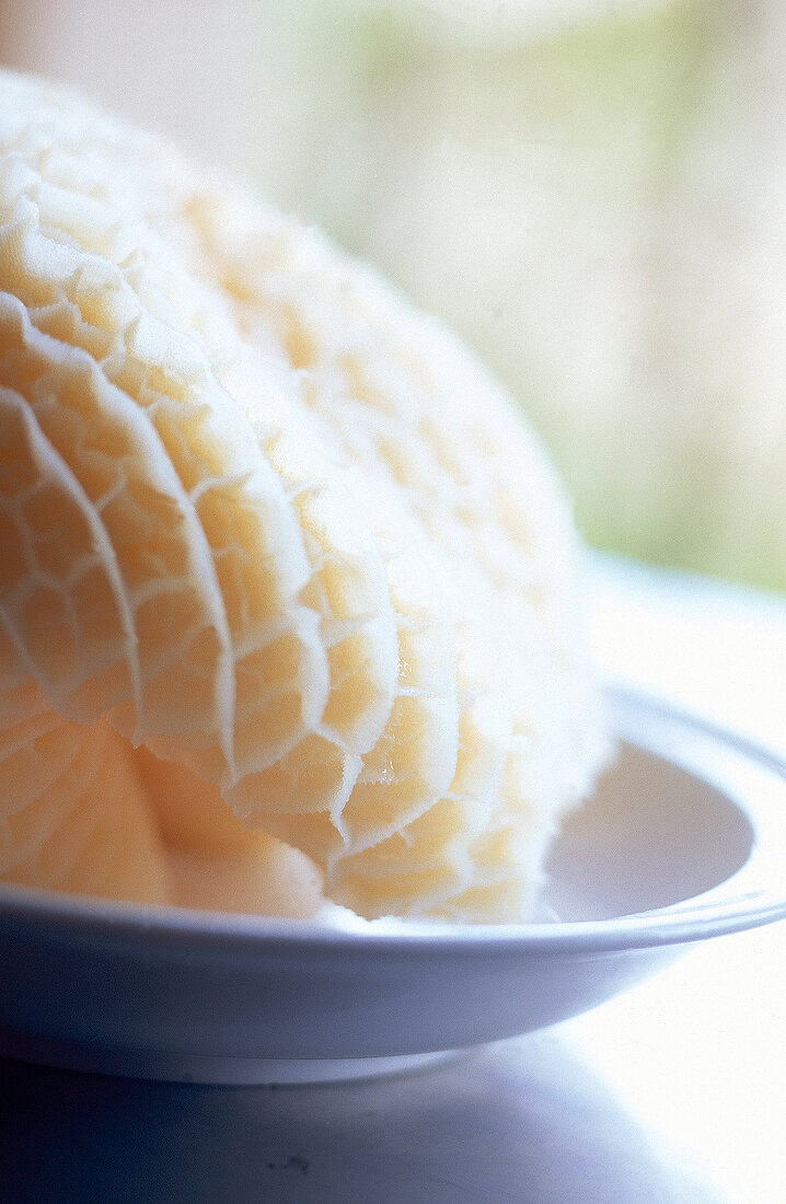 Close-up of tripe on plate