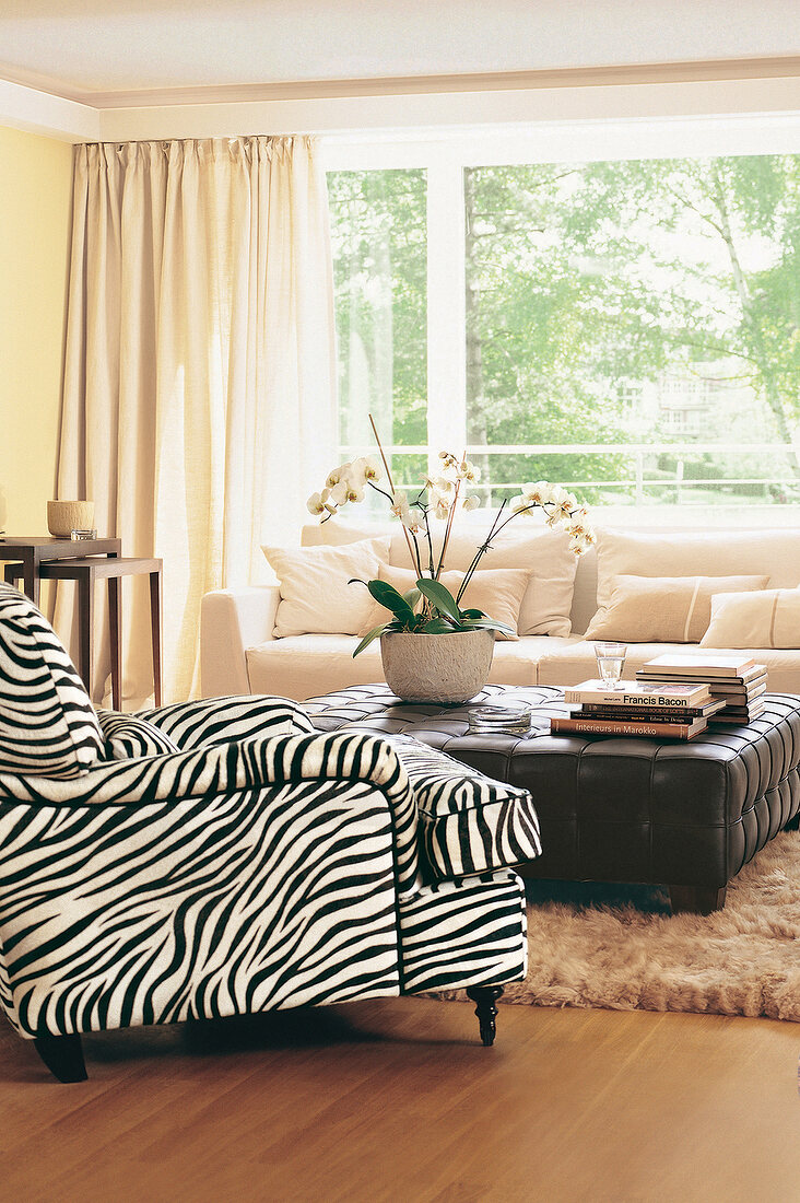 Wohnzimmer im Afrika-Stil m. Flokati Zebrasessel + Ledercouchtisch
