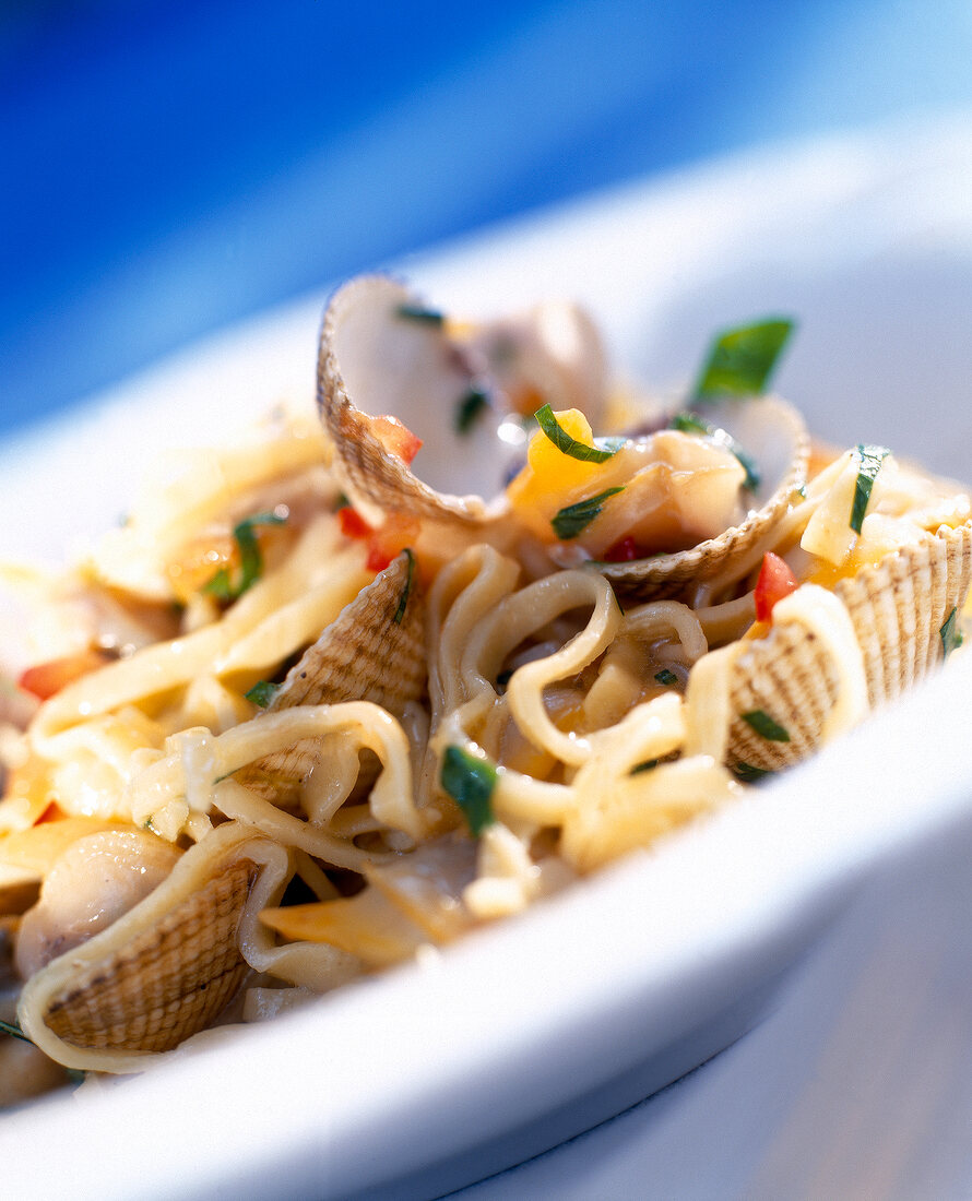 Close-up of tagliolini with shells on plate