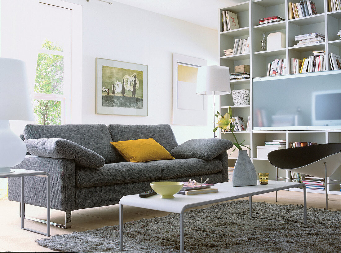 Heller Raum mit grauem Sofa, Bücherwand + grauem Flokatiteppich