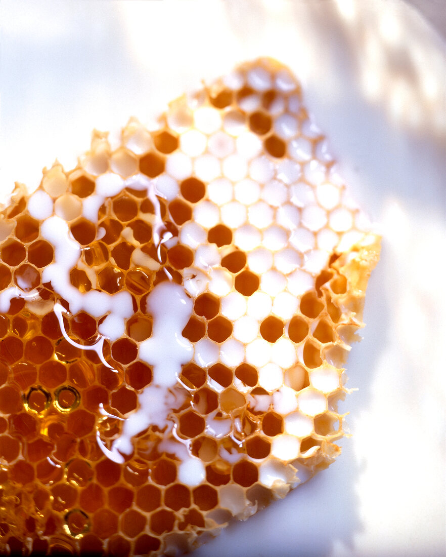 Close-up of milk on honeycomb