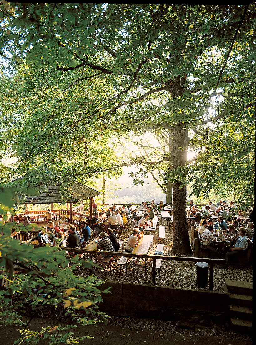 Gasthof "Zum Schloss" Atzelberg in Franken, Biergarten unter Bäumen