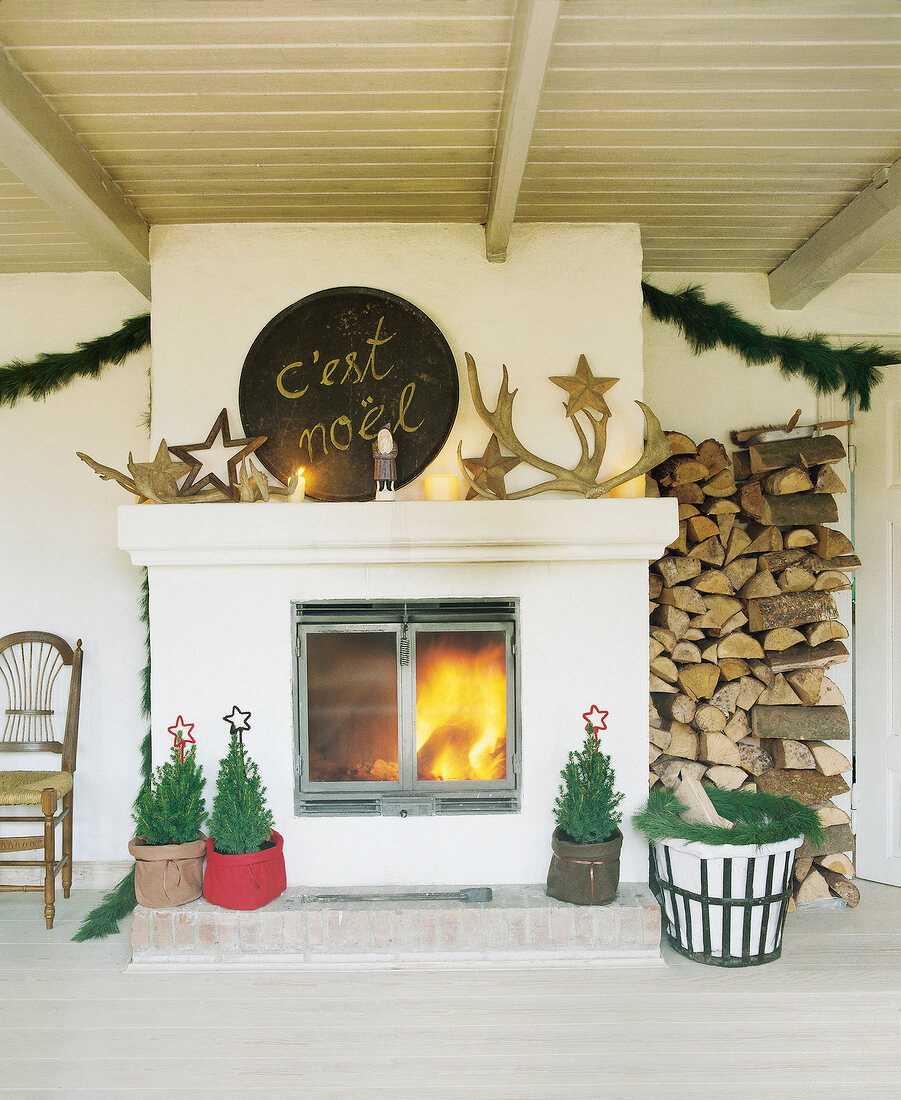 Weihnachtlicher Kamin, Feuer, kleine Tannenbäumchen, c´est noél, Geweih
