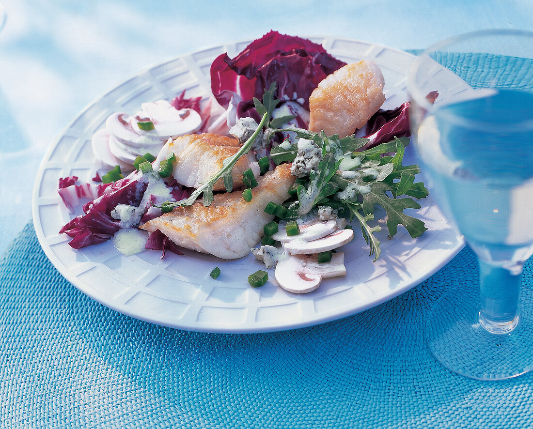 Zander auf Radicchio-Salat 