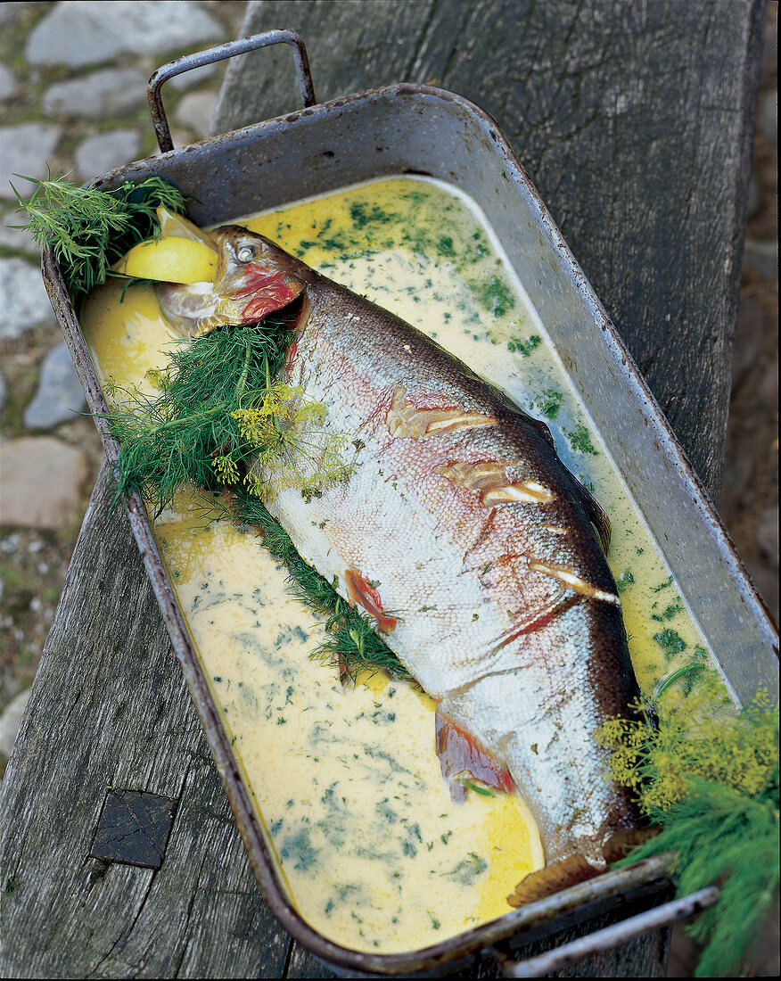 Wörmer Lachsforelle in Riesling, Dill