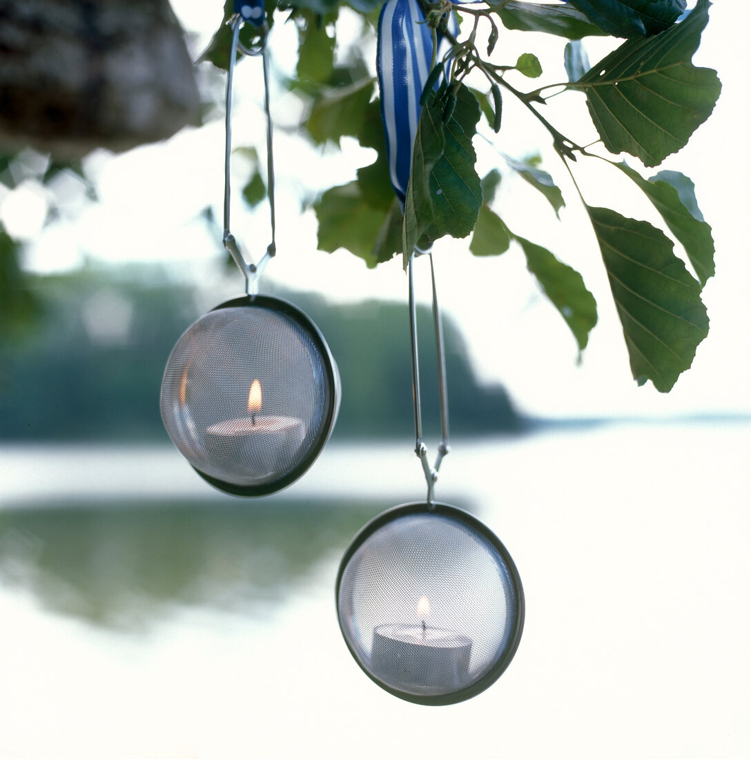 Close-up of lit tea candles in tea strainer hanging on tree
