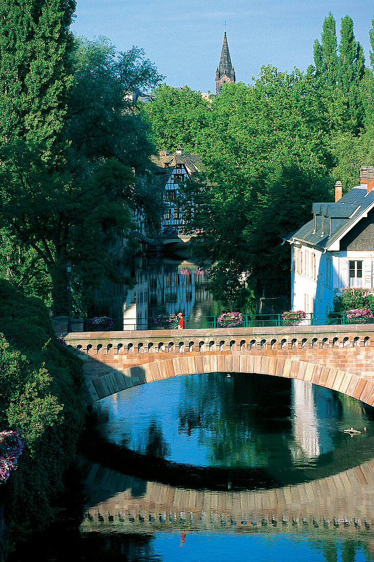 Strassburg im Sommer, Brücke, Fluß, Fachwerkhäuser