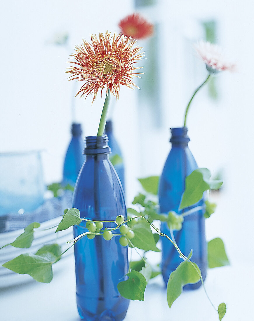 Blaue Wasserflaschen mit Blütenranke umwickelt, darin einzelne Gerberas
