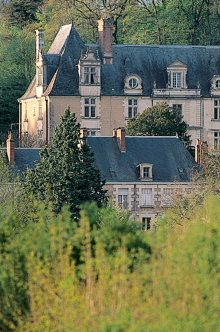 Loire Schloss , Château de Noizay , Restaurant , Hotel