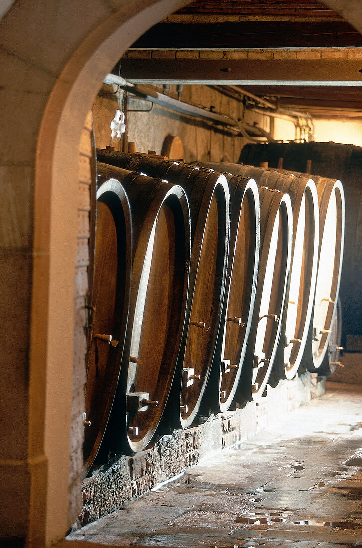 Wine cellar, France, Alsace