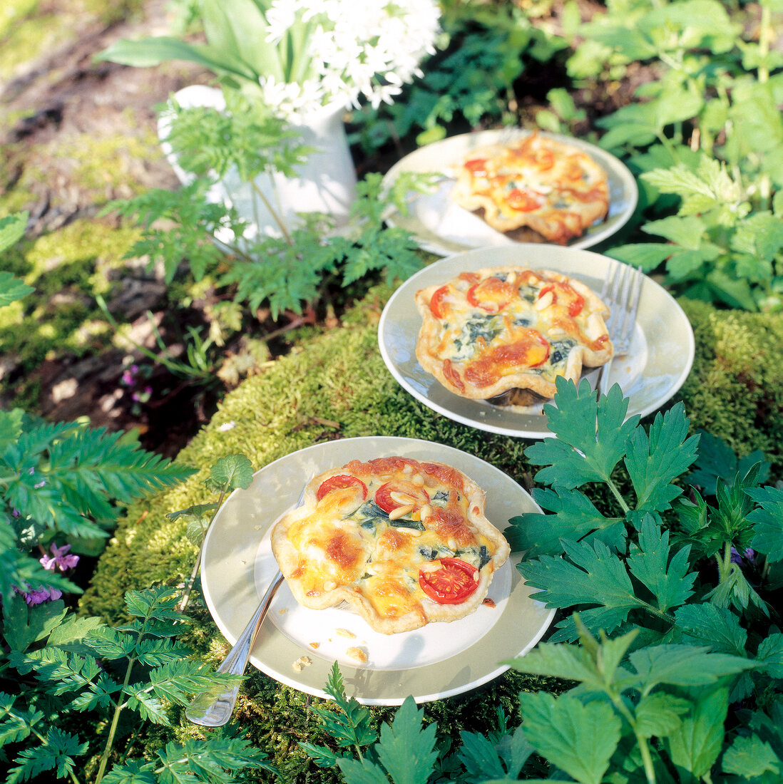 Bärlauch-Törtchen, Gemüsekuchen mit Bärlauch, Tomaten und Magerquark