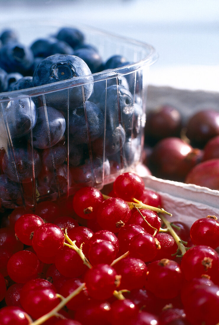 Close-up of blueberries in box and gooseberries