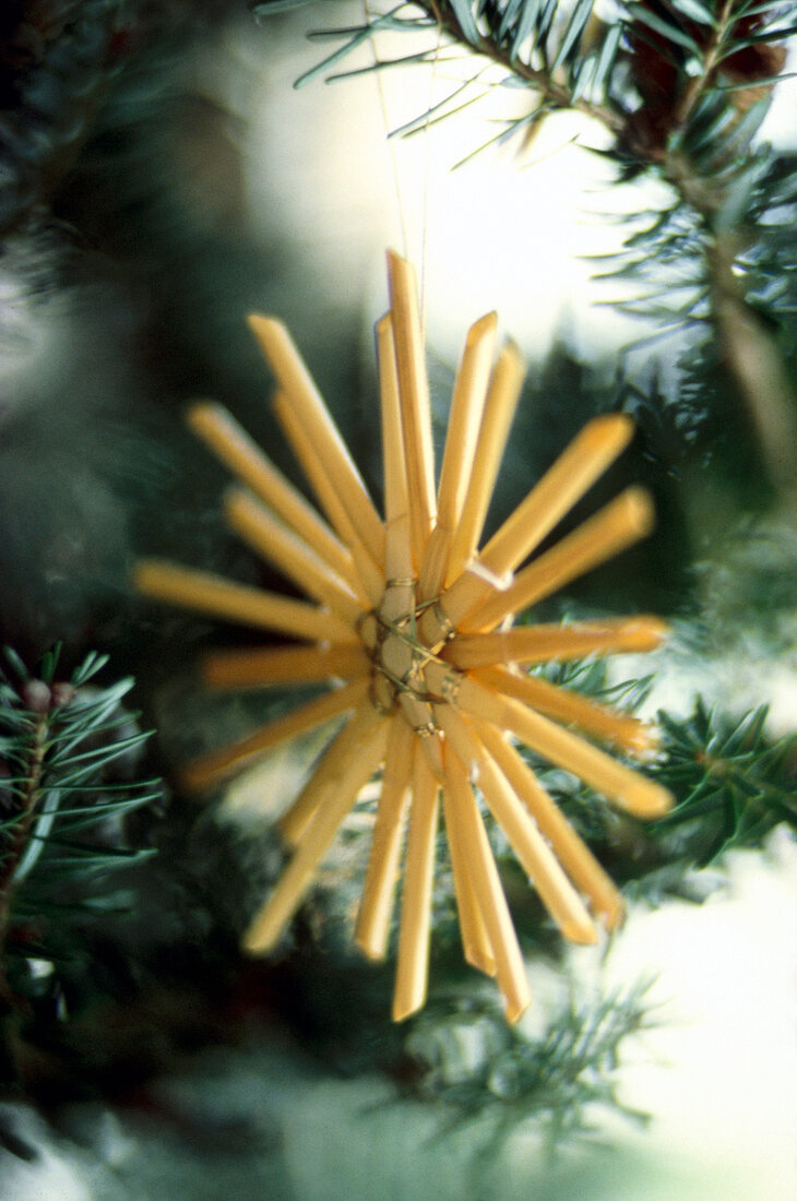 Close-up of straw star on Christmas tree