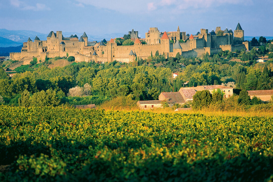 View of green landscape and fortress in France