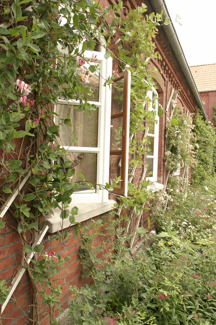 Hof Reinstorf Hotel in Reinstorf außen