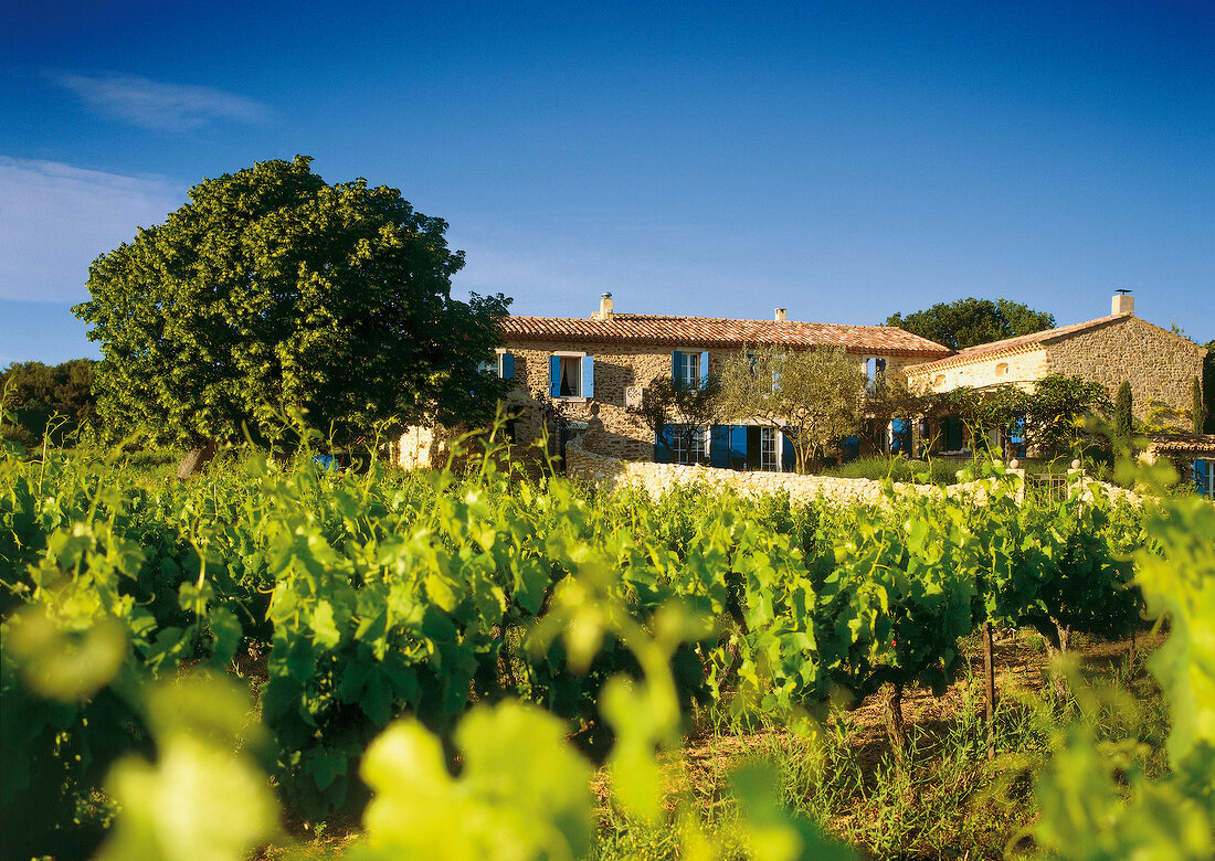 View of Lou Roure house in the vineyards of the Cotes du Rhone, France