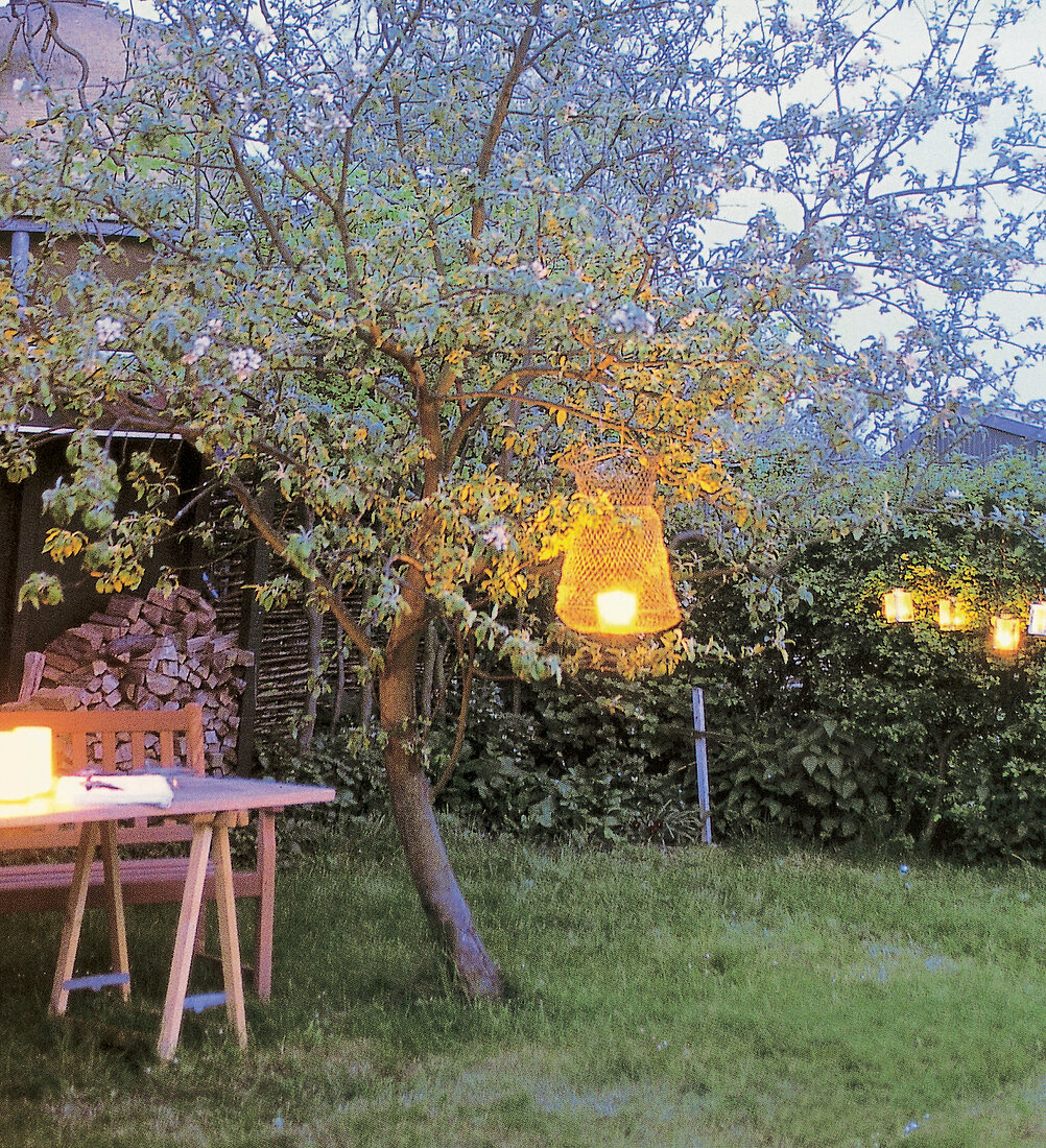 Candles hanging in a tree