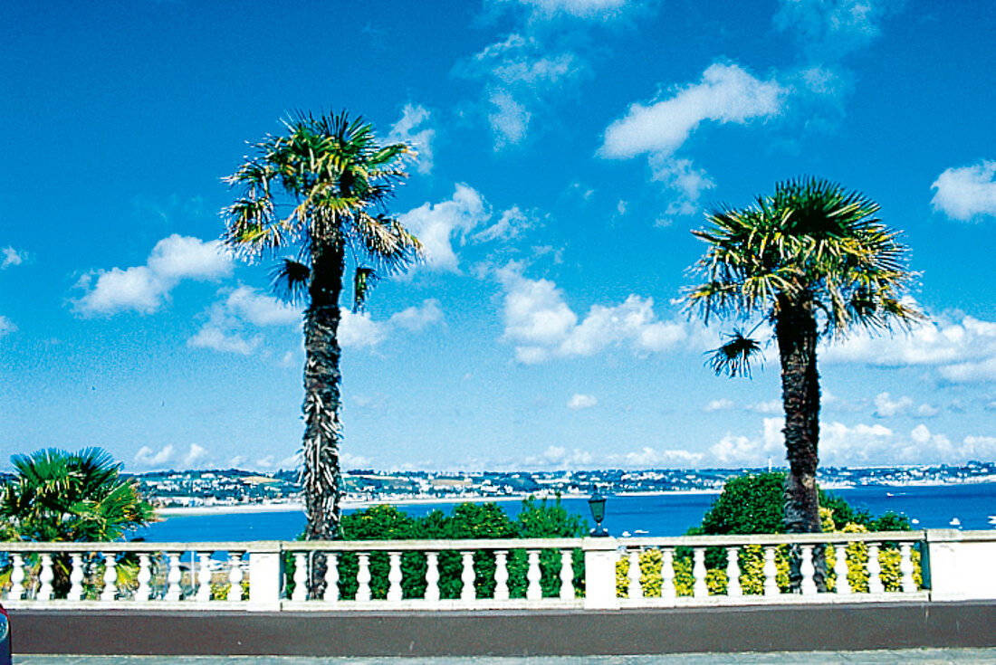 Ein Blick auf das Meer, den Strand und Palmen