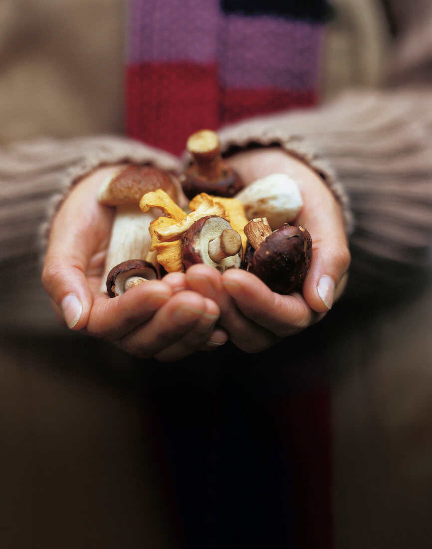 Close-up of woman holding mushrooms