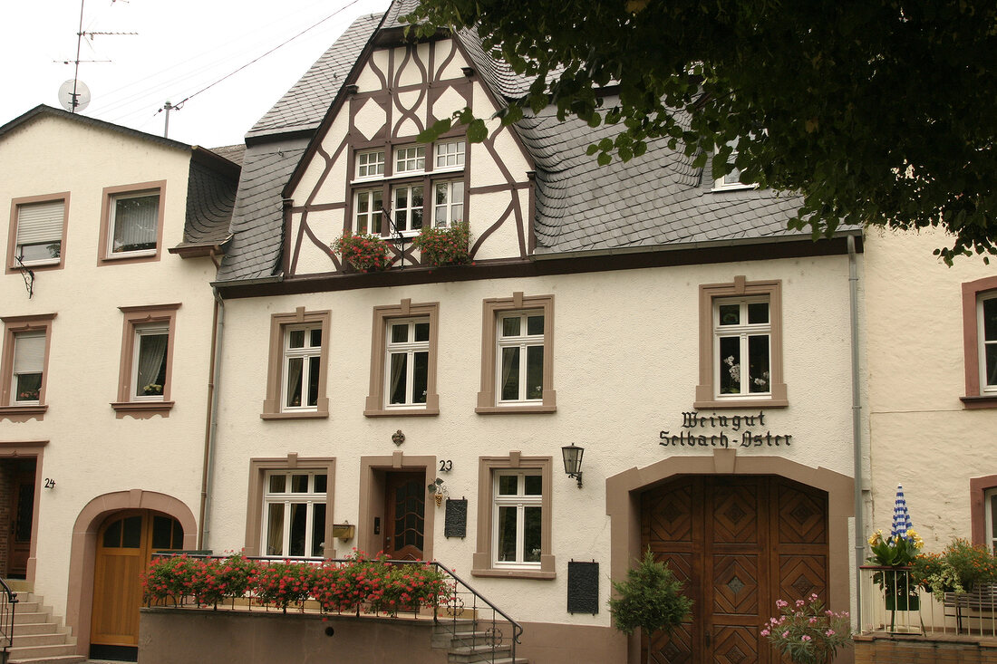 Selbach-Oster Selbach Oster Weingut in Zeltingen-Rachtig Rheinland-Pfalz