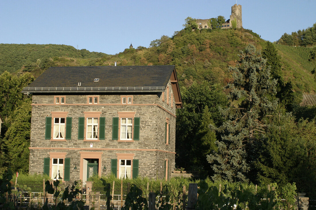 Wwe. Dr. H. Thanisch-Erben Mueller-Burggraef Weingut in Bernkastel-Kues Rheinland-Pfalz