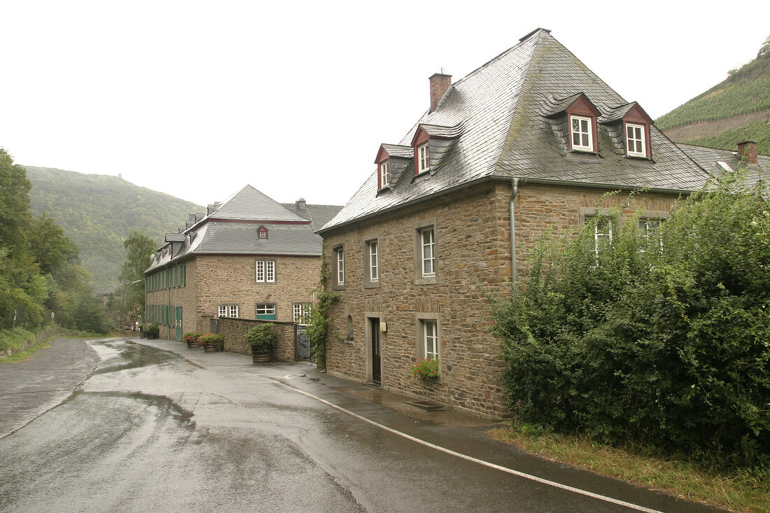 Staatliche Weinbaudomäne Marienthal Staatliche Weinbaudomäne Marienthal Weingut in Marienthal Rheinland-Pfalz