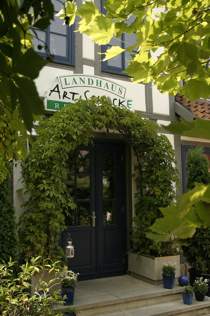 Artischocke Restaurant in Hemmingen Niedersachsen