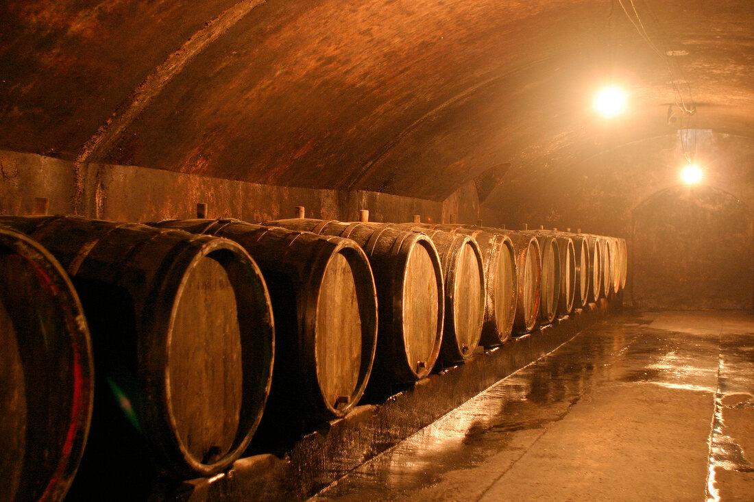 Dr Wagner Weingut in Saarburg Rheinland-Pfalz Deutschland