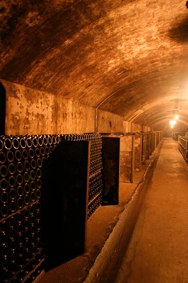 Dr Wagner Weingut in Saarburg Rheinland-Pfalz Deutschland