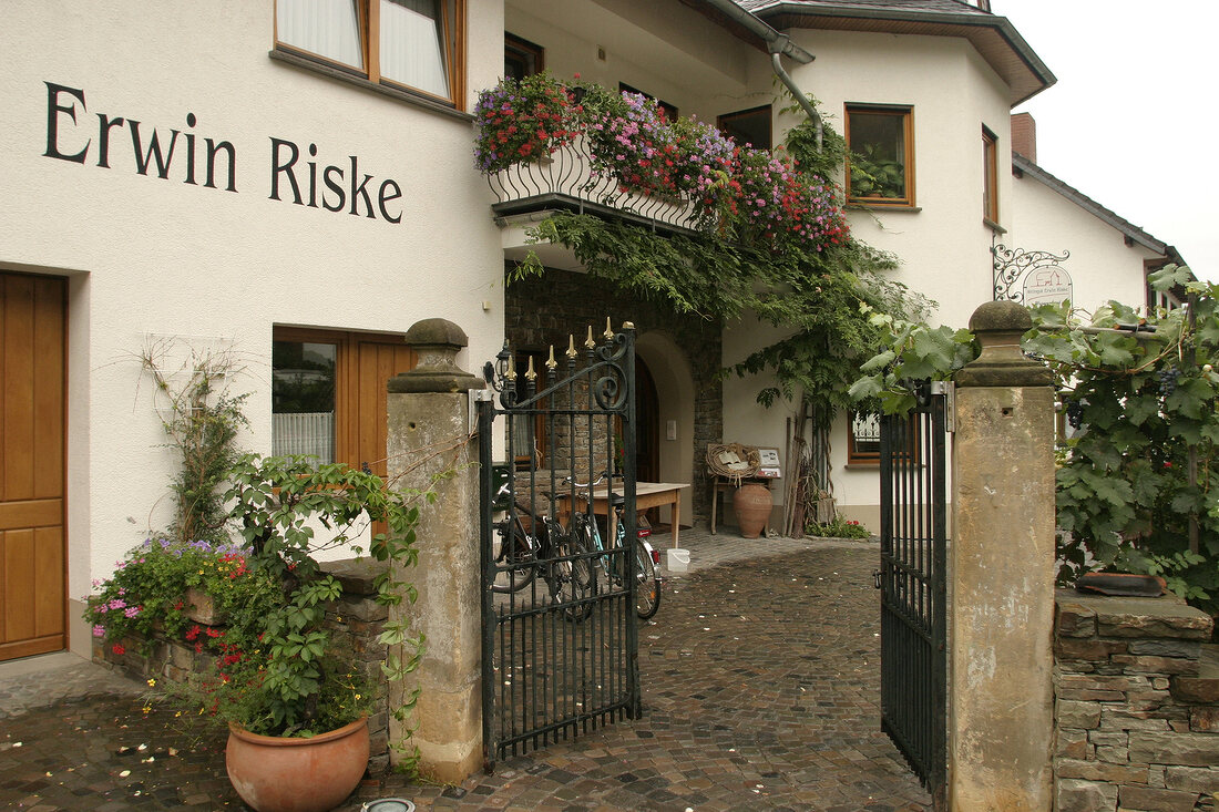 Erwin Riske Weingut in Dernau Rheinland-Pfalz Deutschland