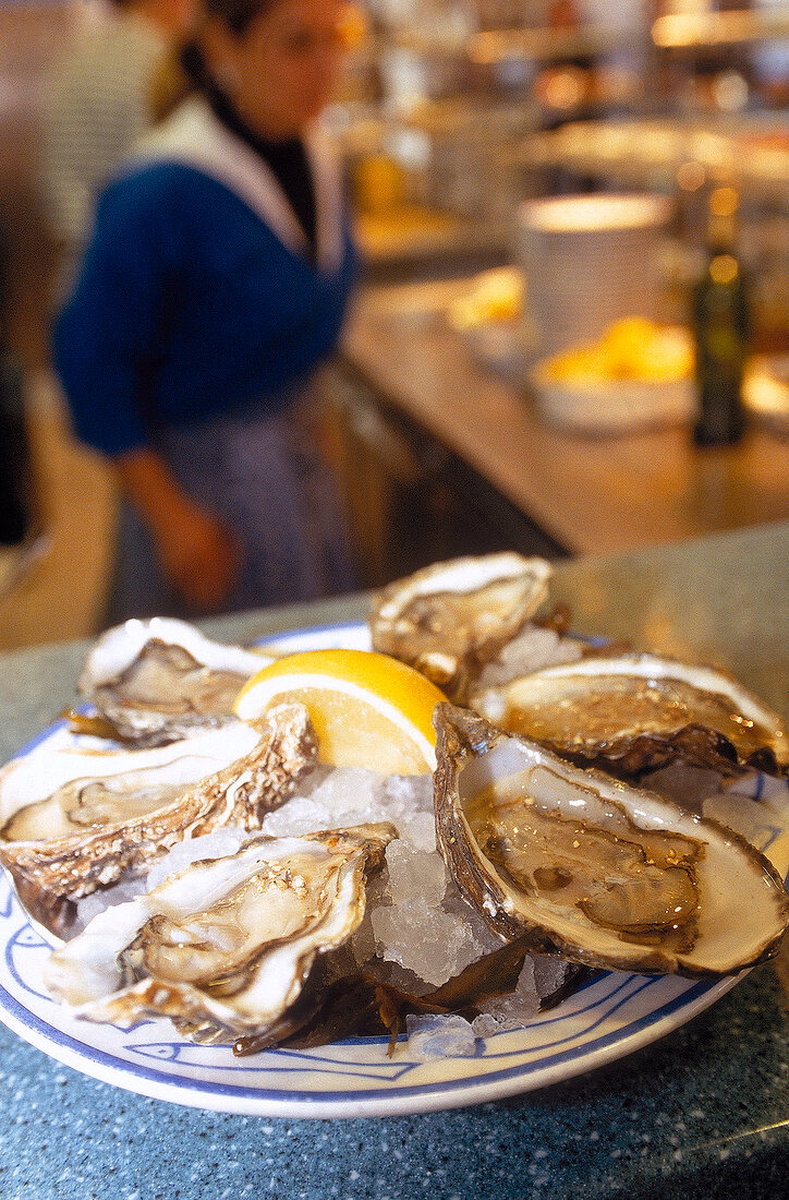 Fresh oysters on plate