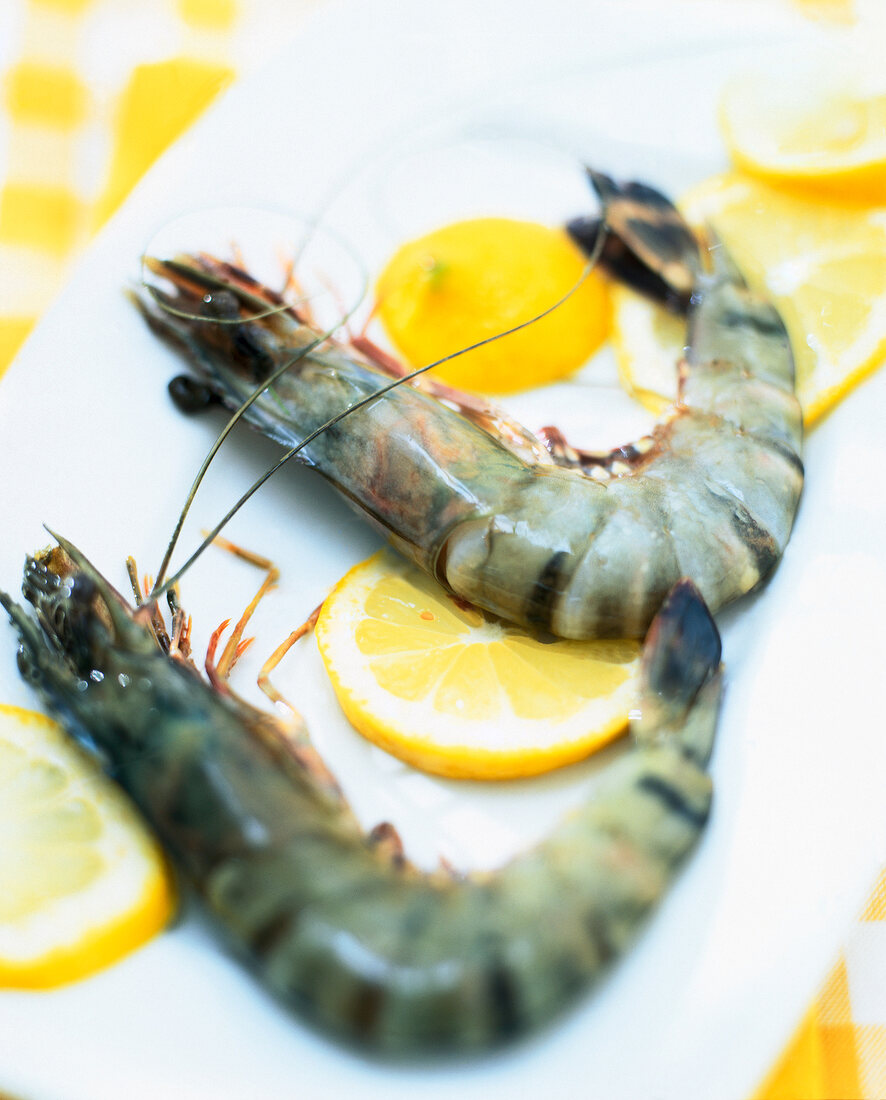 Close-up of shrimp with lemon slices on plate