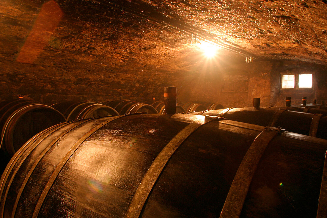 Mönchhof-Eymael Moenchhof Eymael Weingut mit Gästezimmer Gaestezimmer und Gutsausschank in Ürzig