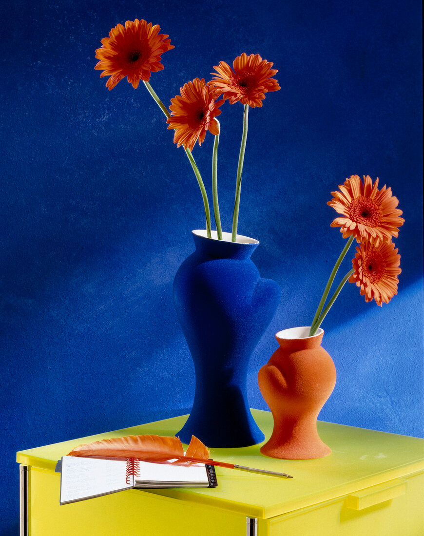 Orange gerbera in blue and orange vases