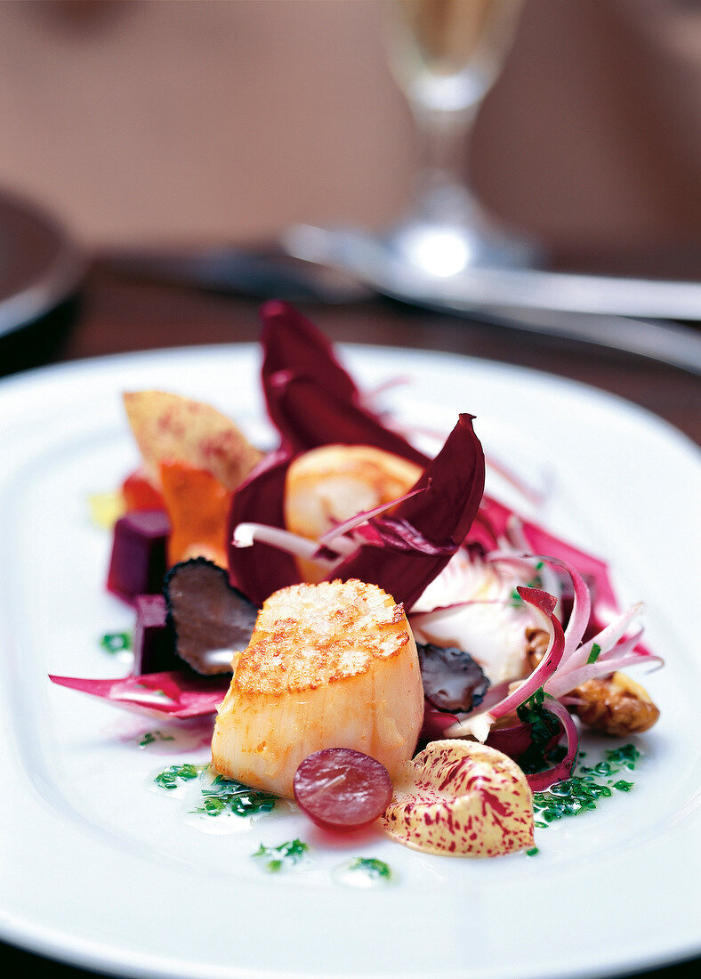 Close-up of seared scallops with radicchio and red-beetroot salad on plate