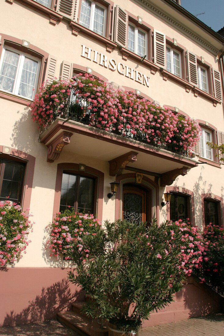 Hirschen Restaurant Gaststätte Gaststaette in Sulzburg