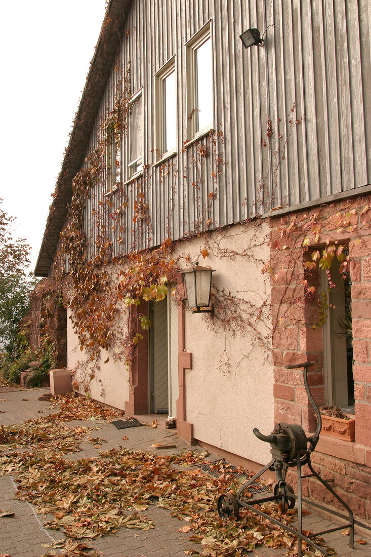 Rudolf Fürst Rudolf Fürst Weingut in Bürgstadt Buergstadt