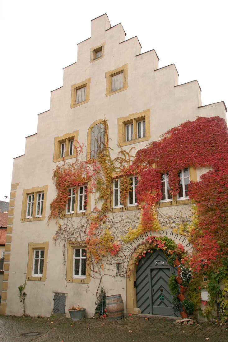 Zehnthof -Theo Luckert Zehnthof Theo Luckert Weingut in Sulzfeld Bayern